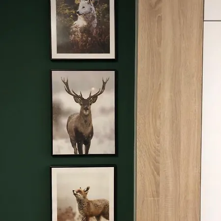 Przy Zajeczniku Swieradow-Zdroj