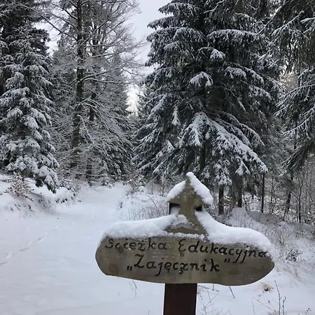 Διαμέρισμα Przy Zajeczniku *