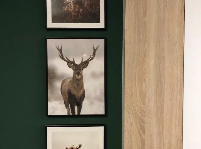 Przy Zajeczniku Świeradów-Zdrój