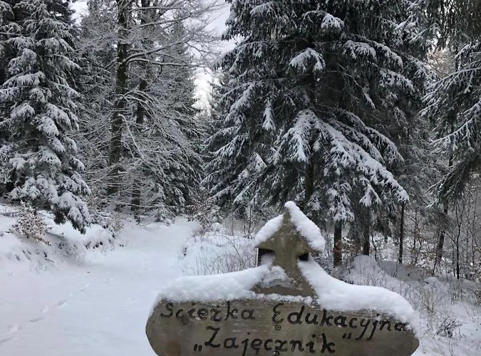 Διαμέρισμα Przy Zajeczniku *